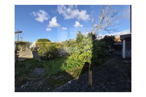 Villa i Quinta do Anjo, Setubal, Quinta do Anjo - € 175.000 | Ref: GX-409 - foto 24