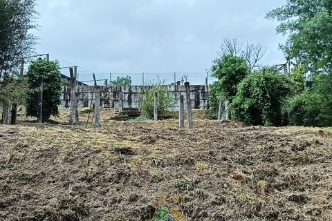 Helårsgrund i Arcos de Valdevez, Viana do Castelo, Arcos de Valdevez - € 50.000 | Ref: PTB-026-003 - foto 7