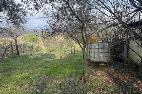 Byhus i Sarzana, La Spezia, Sarzana - € 420.000 | Ref: 107959 - foto 9
