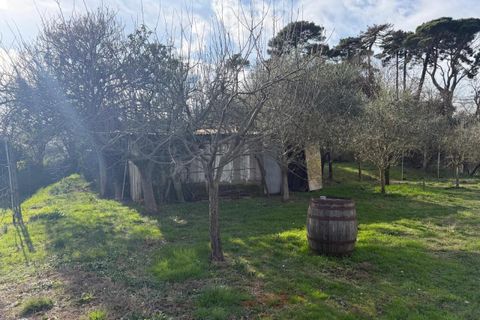 Byhus i Sarzana, La Spezia, Sarzana - € 420.000 | Ref: 107959 - foto 19