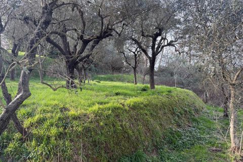 Byhus i Sarzana, La Spezia, Sarzana - € 420.000 | Ref: 107959 - foto 20