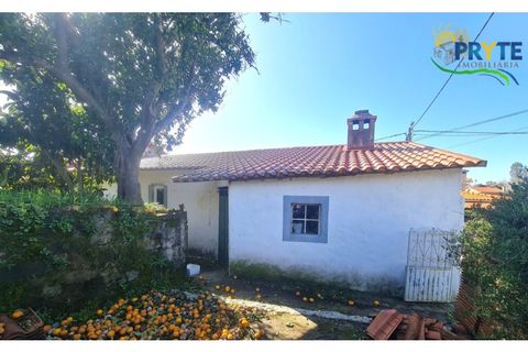 Villa i Serta, Castelo Branco, Serta - € 115.000 | Ref: AS156 - foto 7