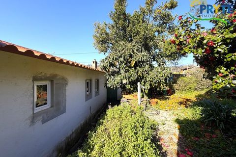 Villa i Serta, Castelo Branco, Serta - € 115.000 | Ref: AS156 - foto 10