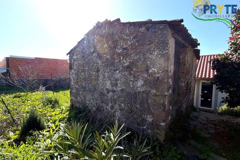 Villa i Serta, Castelo Branco, Serta - € 115.000 | Ref: AS156 - foto 42