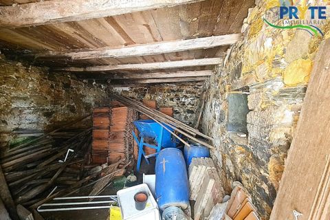Villa i Serta, Castelo Branco, Serta - € 115.000 | Ref: AS156 - foto 43