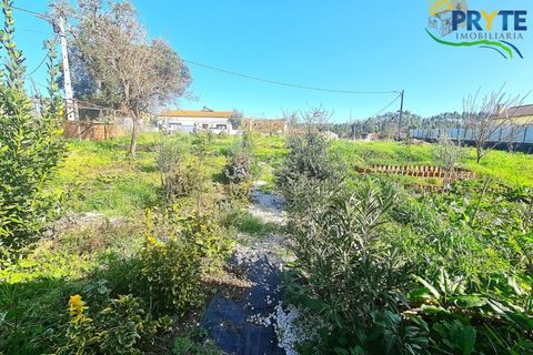 Villa i Serta, Castelo Branco, Serta - € 115.000 | Ref: AS156 - foto 49