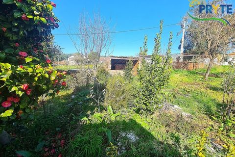 Villa i Serta, Castelo Branco, Serta - € 115.000 | Ref: AS156 - foto 50