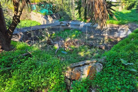 Helårsgrund i Moncarapacho, Faro, Moncarapacho - € 60.000 | Ref: A5127 - foto 2