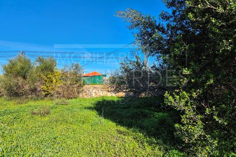 Helårsgrund i Moncarapacho, Faro, Moncarapacho - € 60.000 | Ref: A5127 - foto 3