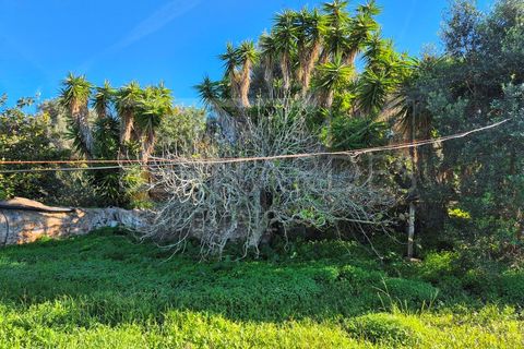 Helårsgrund i Moncarapacho, Faro, Moncarapacho - € 60.000 | Ref: A5127 - foto 4