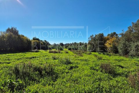 Helårsgrund i Moncarapacho, Faro, Moncarapacho - € 60.000 | Ref: A5127 - foto 6