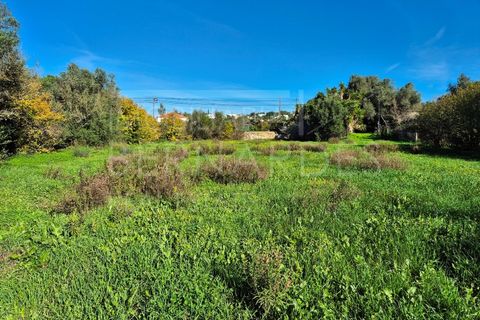 Helårsgrund i Moncarapacho, Faro, Moncarapacho - € 60.000 | Ref: A5127 - foto 7