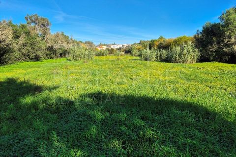 Helårsgrund i Moncarapacho, Faro, Moncarapacho - € 60.000 | Ref: A5127 - foto 9