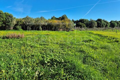 Helårsgrund i Moncarapacho, Faro, Moncarapacho - € 60.000 | Ref: A5127 - foto 10