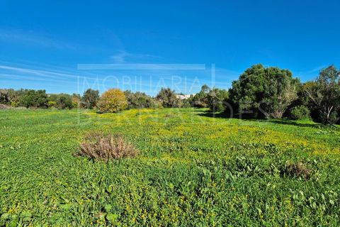 Helårsgrund i Moncarapacho, Faro, Moncarapacho - € 60.000 | Ref: A5127 - foto 11