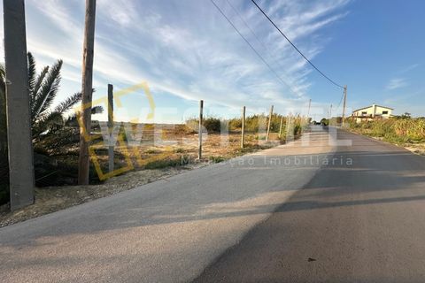Helårsgrund i Mafra, Lisbon, Mafra - € 295.000 | Ref: 5839WT - foto 8