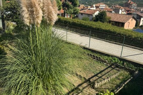 Villa i Barolo, Cuneo, Barolo - € 490.000 | Ref: CA1283 - foto 9