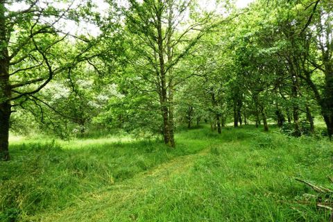 Landejendom i Lignol, Morbihan, Lignol - € 168.450 | Ref: 56075-2297 - foto 21