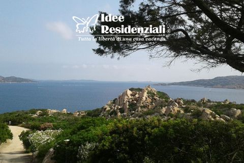 Villa i Palau, Sassari, Palau - € 830.000 | Ref: villa Delfini - foto 4