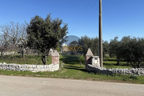 Landejendom i Monopoli, Bari, Monopoli - € 185.000 | Ref: 189 - foto 6