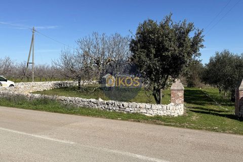 Landejendom i Monopoli, Bari, Monopoli - € 185.000 | Ref: 189 - foto 7