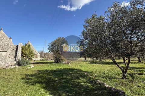 Landejendom i Monopoli, Bari, Monopoli - € 185.000 | Ref: 189 - foto 10