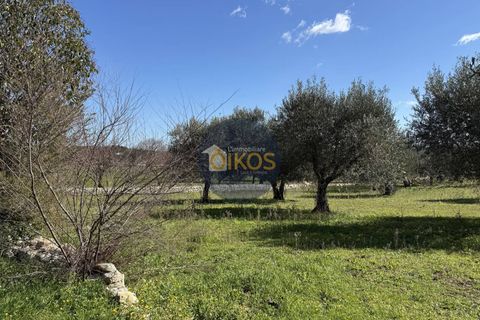 Landejendom i Monopoli, Bari, Monopoli - € 185.000 | Ref: 189 - foto 11