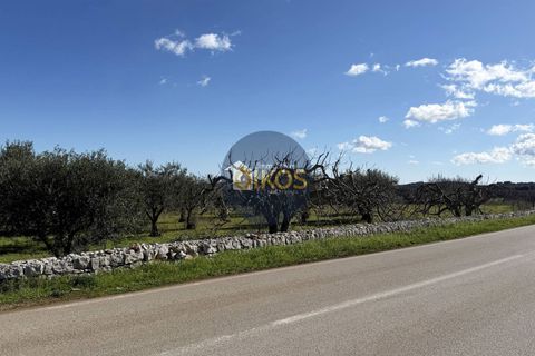 Landejendom i Monopoli, Bari, Monopoli - € 185.000 | Ref: 189 - foto 32