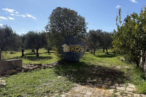 Landejendom i Monopoli, Bari, Monopoli - € 185.000 | Ref: 189 - foto 33