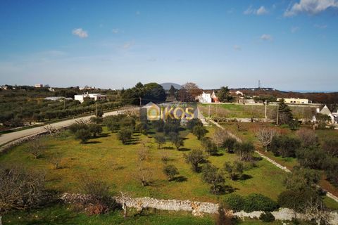 Landejendom i Monopoli, Bari, Monopoli - € 185.000 | Ref: 189 - foto 44