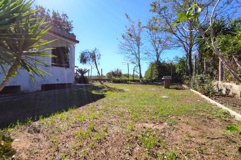 Villa a Nettuno, Rome, Nettuno - € 130.000 | Ref: 0130AB-1 - foto 16
