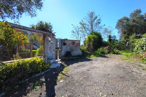 Villa a Nettuno, Rome, Nettuno - € 130.000 | Ref: 0130AB-1 - foto 17