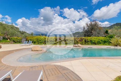 Villa i Apricale, Imperia, Apricale - € 850.000 | Ref: IB 696 - foto 11
