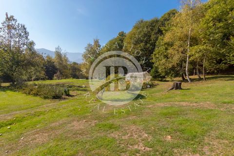 Træhytte i Pamparato, Cuneo, Pamparato - € 1.200.000 | Ref: IB 733 - foto 22