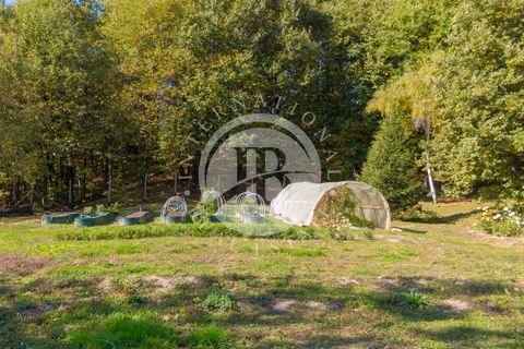 Træhytte i Pamparato, Cuneo, Pamparato - € 1.200.000 | Ref: IB 733 - foto 23
