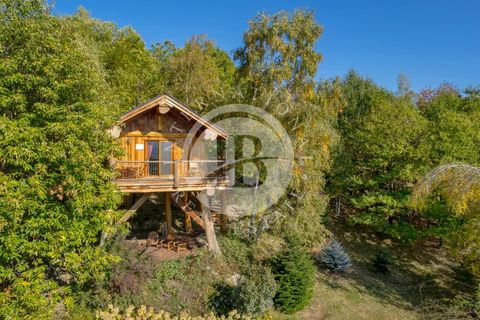 Træhytte i Pamparato, Cuneo, Pamparato - € 1.200.000 | Ref: IB 733 - foto 32