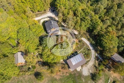Træhytte i Pamparato, Cuneo, Pamparato - € 1.200.000 | Ref: IB 733 - foto 34