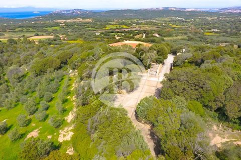 Villa i Palau, Sassari, Palau - € 4.200.000 | Ref: IB 591 - foto 7