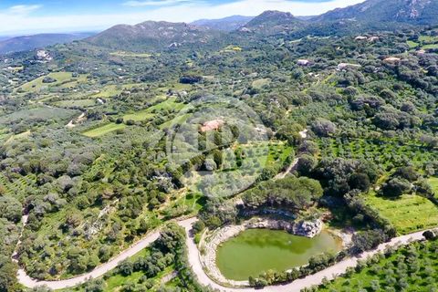 Villa i Palau, Sassari, Palau - € 4.200.000 | Ref: IB 591 - foto 9