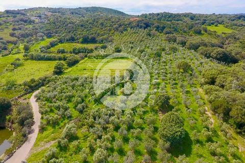 Villa i Palau, Sassari, Palau - € 4.200.000 | Ref: IB 591 - foto 10