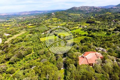 Villa i Palau, Sassari, Palau - € 4.200.000 | Ref: IB 591 - foto 11