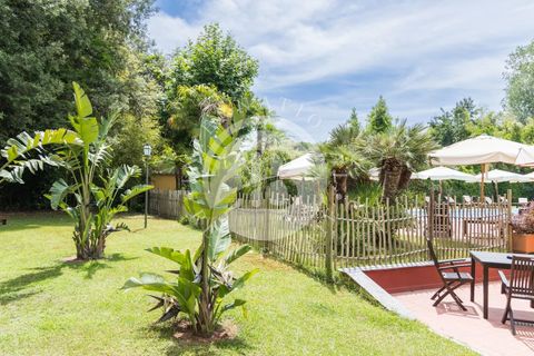 Villa a Massa, Massa and Carrara, Massa - € 9.500.000 | Ref: IB 723 - foto 5