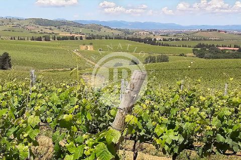 Villa a Grosseto, Grosseto, Grosseto - € 11.500.000 | Ref: IB 431 - foto 22
