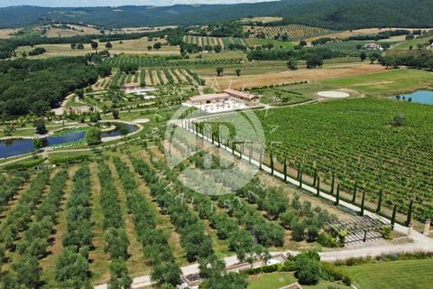 Villa i Massa Marittima, Grosseto, Massa Marittima - € 28.000.000 | Ref: IB 352 - foto 4