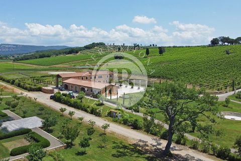 Villa i Massa Marittima, Grosseto, Massa Marittima - € 28.000.000 | Ref: IB 352 - foto 10