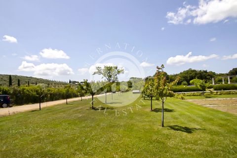 Villa i Massa Marittima, Grosseto, Massa Marittima - € 28.000.000 | Ref: IB 352 - foto 12