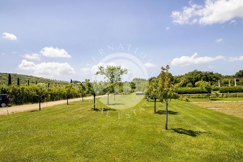 Villa i Massa Marittima, Grosseto, Massa Marittima - € 28.000.000 | Ref: IB 352 - foto 18