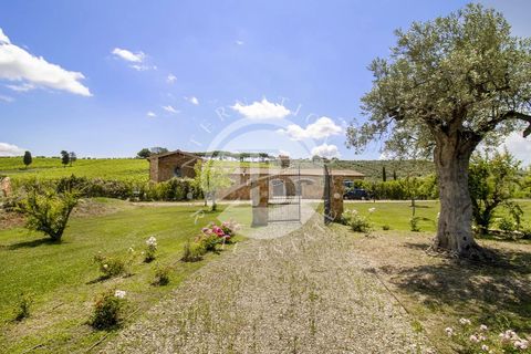 Villa i Massa Marittima, Grosseto, Massa Marittima - € 28.000.000 | Ref: IB 352 - foto 22
