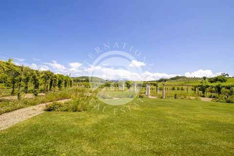 Villa i Massa Marittima, Grosseto, Massa Marittima - € 28.000.000 | Ref: IB 352 - foto 37