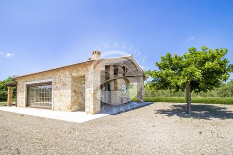 Villa i Massa Marittima, Grosseto, Massa Marittima - € 28.000.000 | Ref: IB 352 - foto 42